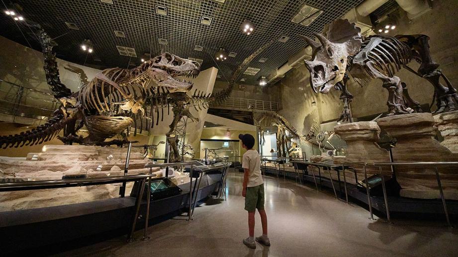 国立科学博物館