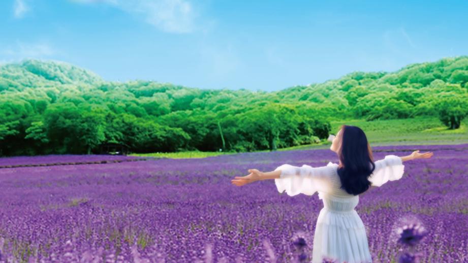 群馬県沼田市「たんばらラベンダーパーク」イメージ