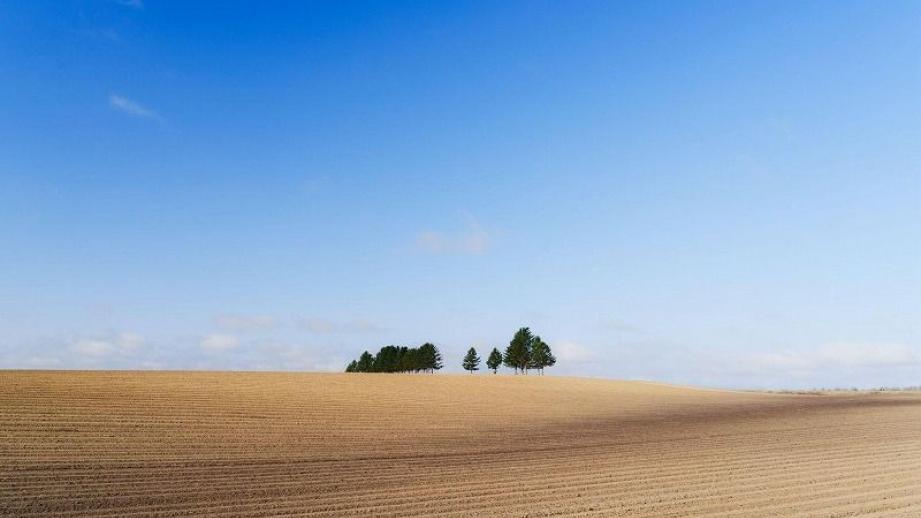 【日常の絶景】朝4時に起きてでも見たい…プロのテレビカメラマンによる「十勝の春夏秋冬」