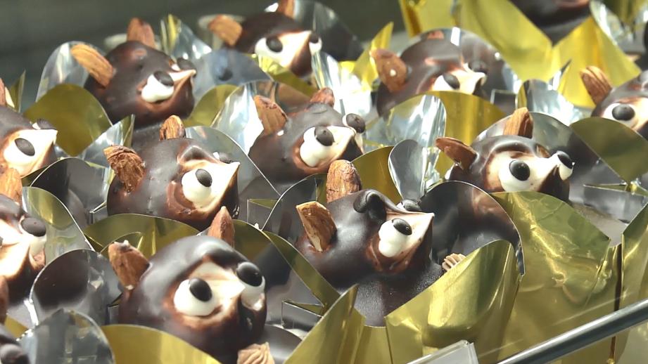 「たぬきケーキ」知ってますか? 絶滅危惧種の懐かしいケーキの今 【静岡県静岡市清水区・日月堂リラ】