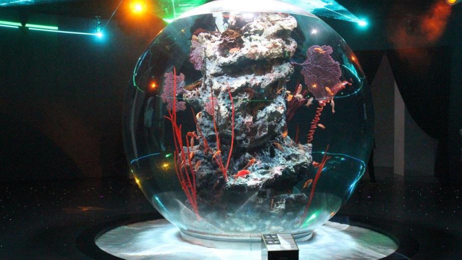 神戸で1日デート・観光なら外せない！映えるアートがたくさん「AQUARIUM×ART átoa」の楽しみ方