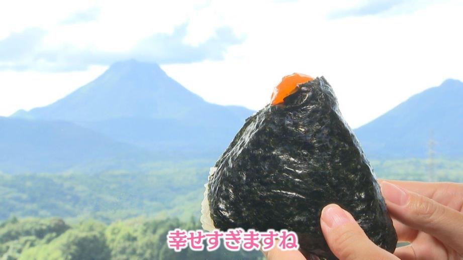 常時約30種類のおにぎり？！そして 由布岳を望む農家カフェも 大分の絶品おにぎり事情