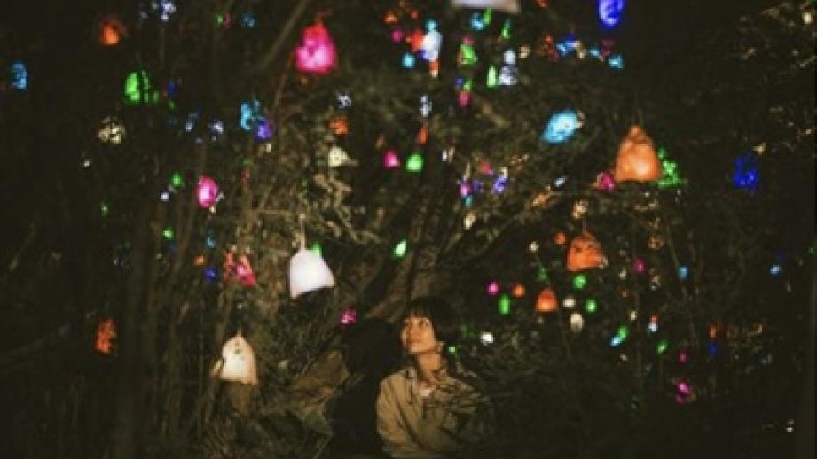 神戸・六甲山の夜を光のアートで彩る「ひかりの森～夜の芸術散歩～」が開催