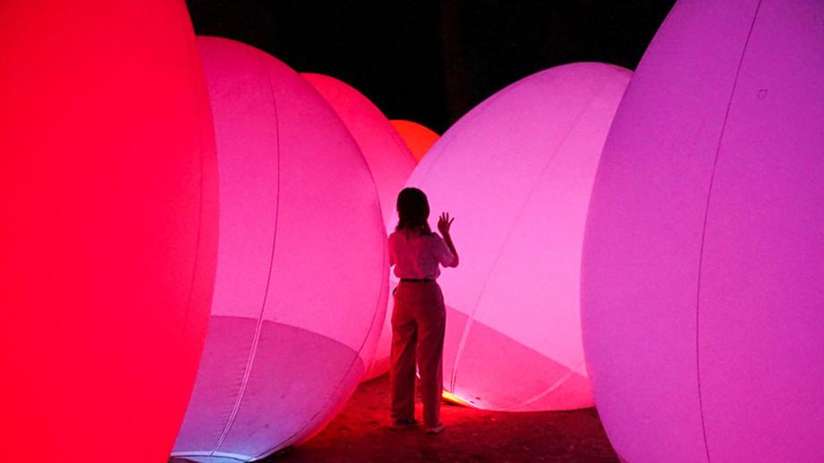 チームラボ ボタニカルガーデン 大阪
