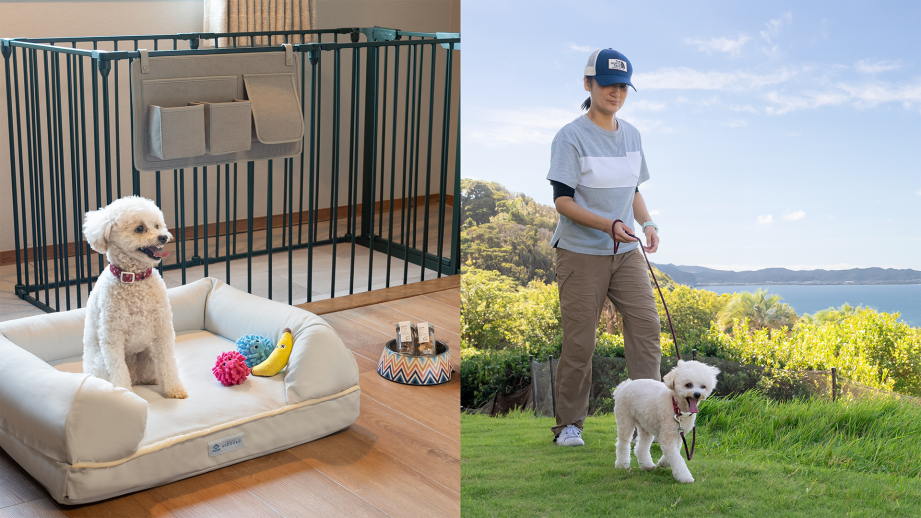 ドッグフレンドリールームとドッグランのイメージ