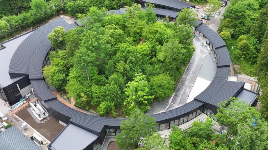 フォレストリング