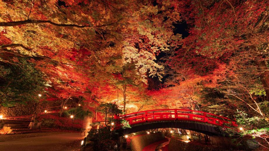 NAKED GARDEN ONE KYOTO 2024 秋