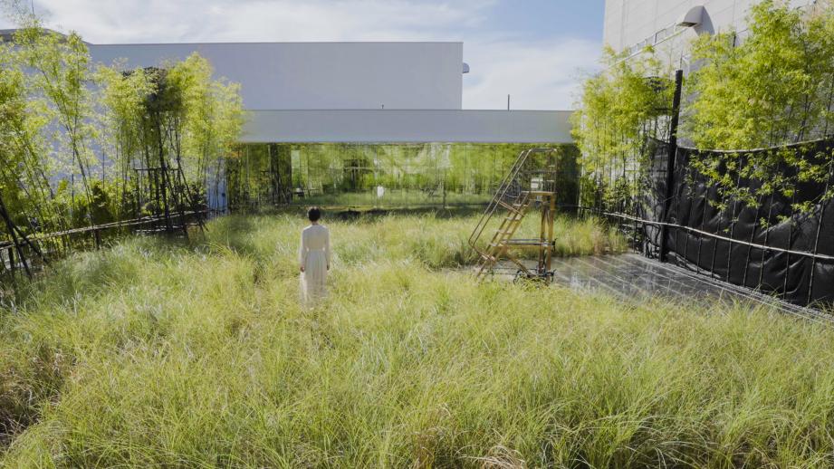 チームラボ「風と雨と太陽の草原」