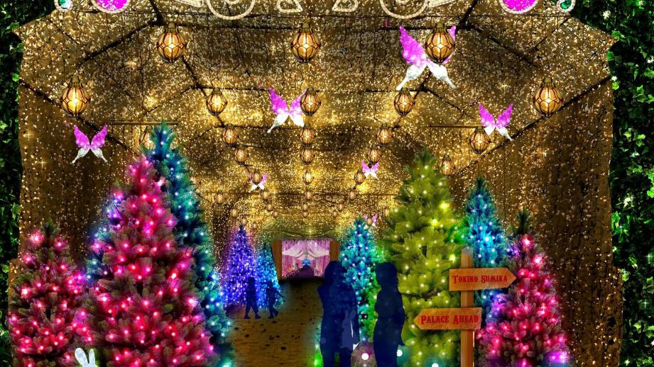 「御殿場高原 時之栖」ひかりのすみか