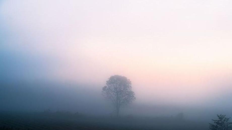 【北海道の絶景 5 選】「息をするのを忘れるくらいの感動」マジックアワーに見た『霧の世界』／十勝