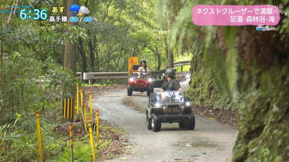 【宮崎】次世代電動ミニカーで巡る！日南市北郷町の魅力を満喫するドライブ体験&足湯＆森林浴（日南市北郷町）