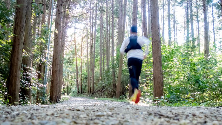 奈良斑鳩「門前宿 和空 法隆寺」に歴史と里山を巡る新感覚のトレイル宿泊プラン登場