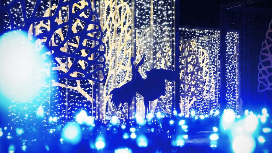 北海道白老町「ウポポイ」にホワイトシーズン到来！冬ならではのアイヌ文化体験を