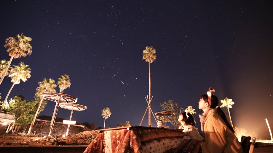 和歌山・アドベンチャーワールド こたつで楽しむ「ナイトサファリ」