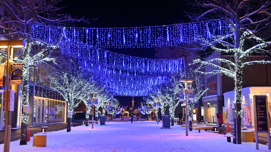 雪面に映えるシックな魅力！北海道旭川「あさひかわ街あかりイルミネーション2024」
