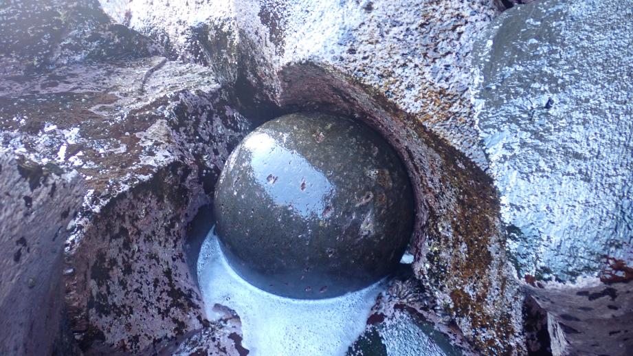 【静岡県伊東市・城ヶ崎海岸】まるっ! 自然の芸術“丸い 石”の謎 どこでいつ見られるか解説