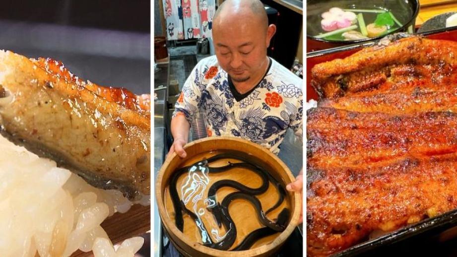 新店舗＆お手頃価格「うなぎ」人気記事 TOP3 ・2024