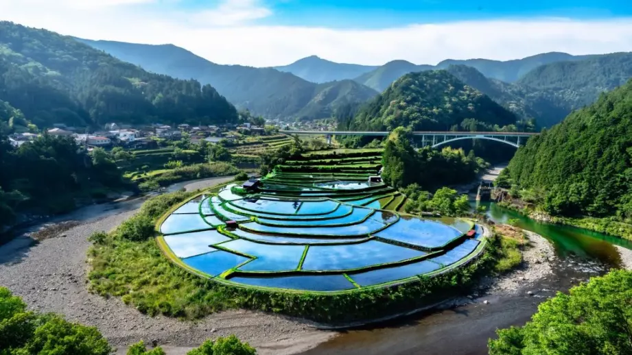 和歌山・有田川ドライブ ｜ 心ときめく絶景と美味がお待ちかね！有田川の上流へ