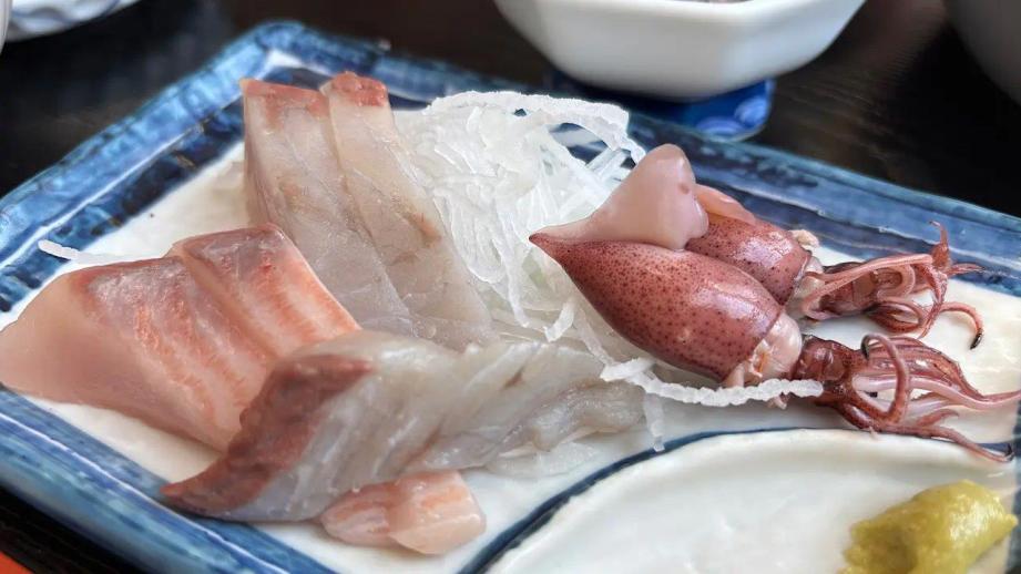 朝どれ! 漁協の“お母さん”の味【JF 女性部食堂】富山湾の宝石「シロエビ」もランチで