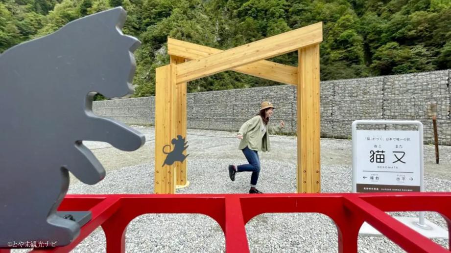 うちの猫も名誉助役に！トロッコ電車で全国唯一“猫”がつく「猫又駅」へ【黒部峡谷鉄道】