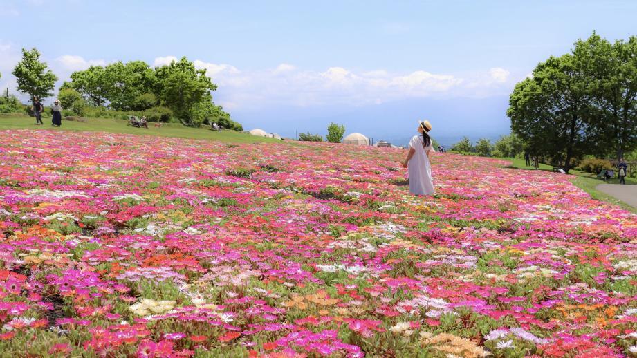 大分・くじゅう花公園