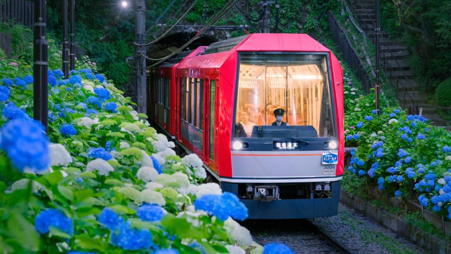箱根登山電車「夜のあじさい号」