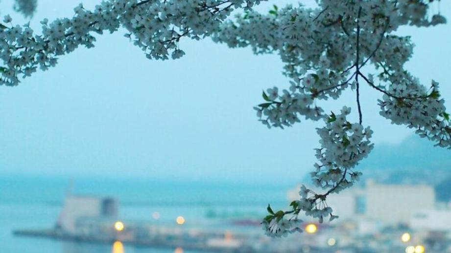 「人はなぜ海の見える坂を登るのか」爽快感のある景色…難易度別の“坂”レポ【北海道・小樽】