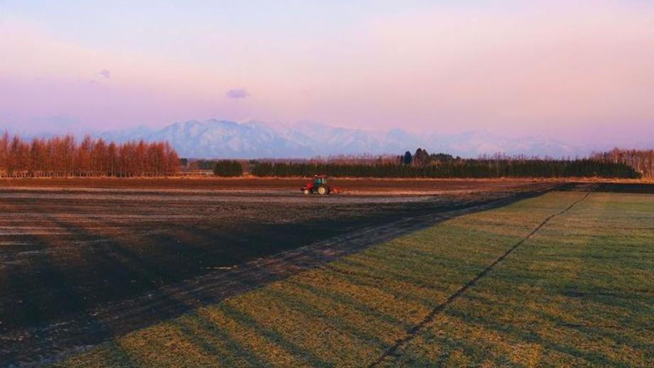 【北海道の絶景】やわらかく、優しい。春間近の十勝平野で見た、彩りの始まり／地元カメラマンの写真13枚