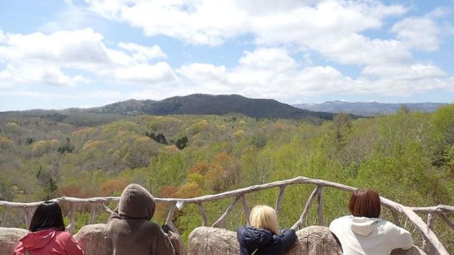 春にも「紅葉」がある 淡いグラデーションを作る、知られざる“木の花”の世界と、隠された戦略【森に行こう#2】