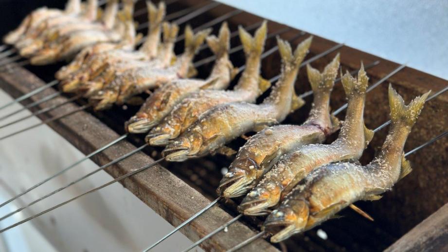 四万十川の天然アユを四万十市「鮎市場」で食べ尽くす！！