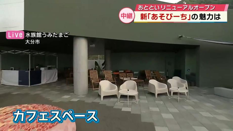 【大分】オットセイとハグも、うみたまご「あそびーち」リニューアル