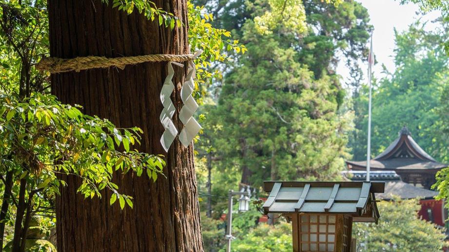 時空を超えて。「フェアフィールド・バイ・マリオット・奈良天理山の辺の道」を拠点に楽しむ奈良・天理の歴史旅