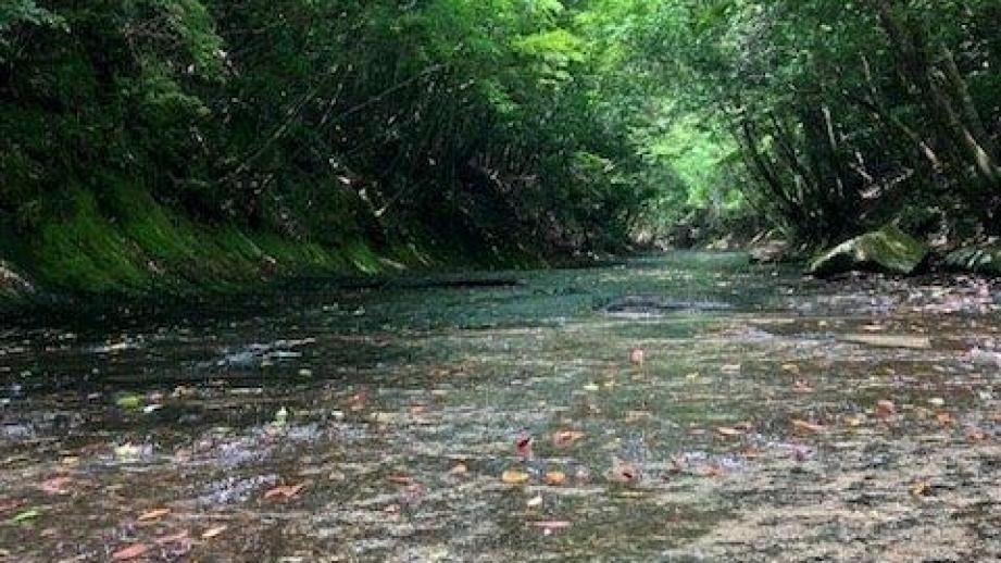 「ようこそ、マチュピチュへ」宇佐市で出会う南米の絶景と「天空の市」