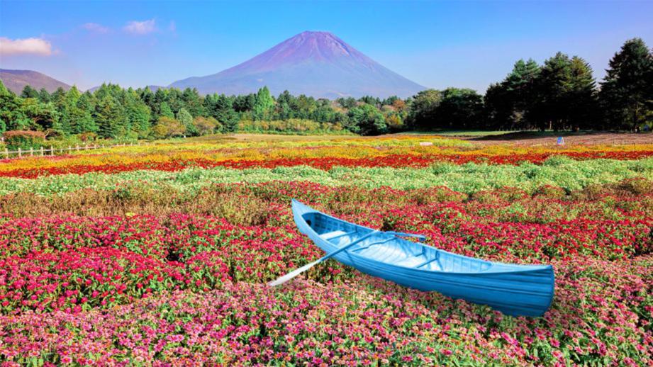 富士本栖湖リゾートで「虹の花まつり」
