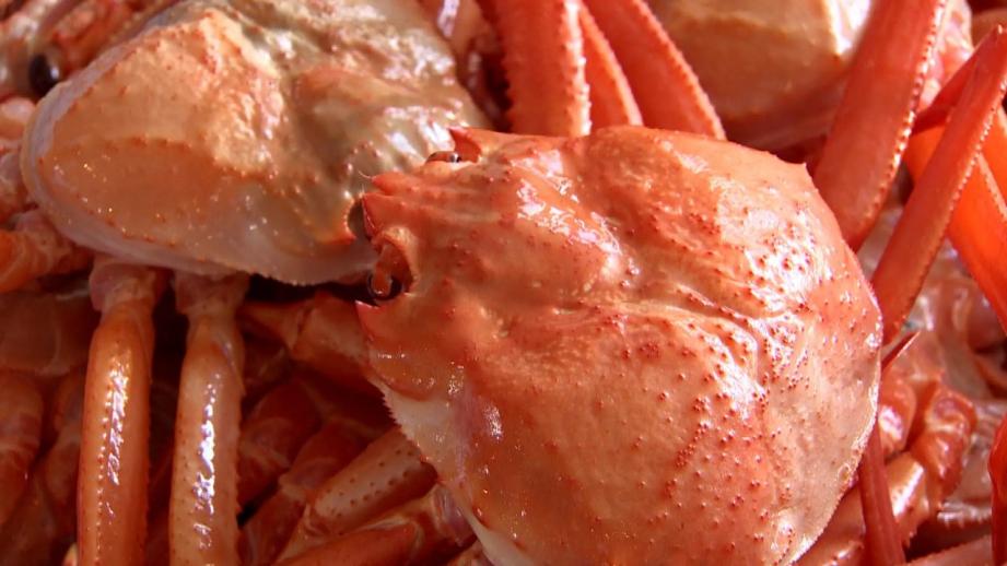 物価高でも値段据え置き!! 富山でカニなら【新湊かに小屋】水揚げ直後のカニ 60 分食べ放題 6900 円