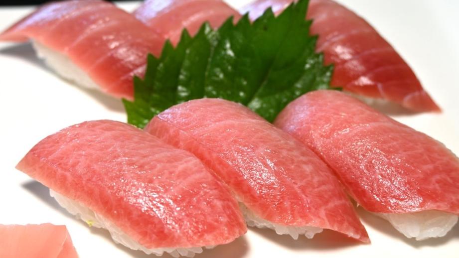 高知東旅×マグロ料理！絶品を味わう「レストラン ホテルなはり」