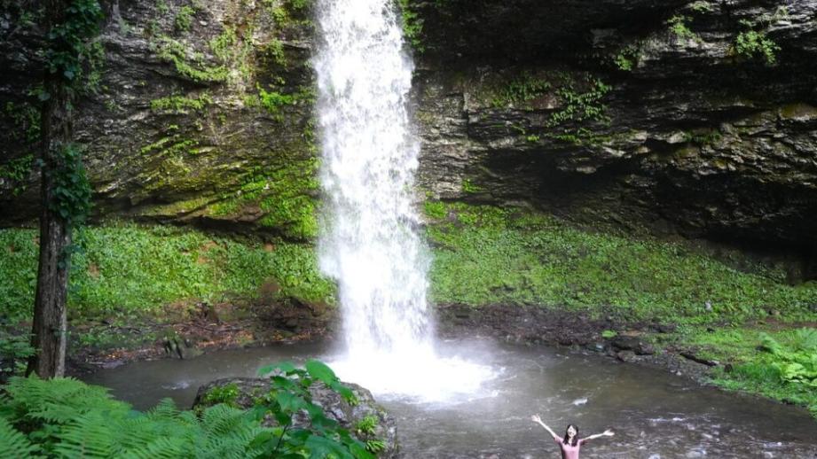 まるで異世界に来たよう…。鳥取県の山奥にある、24 メートルの高さの迫力ある滝！