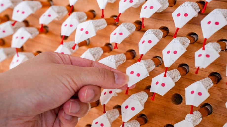 【山口県岩国市】本物のシロヘビにも会える「白蛇神社」金運アップ祈願や可愛いおみくじも