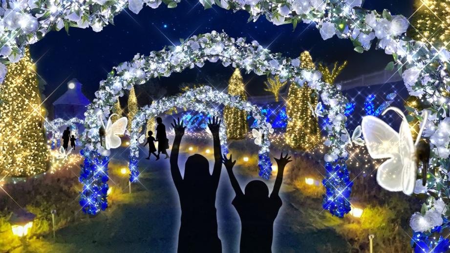 「HIKARIUM2025」ローズフォレスト