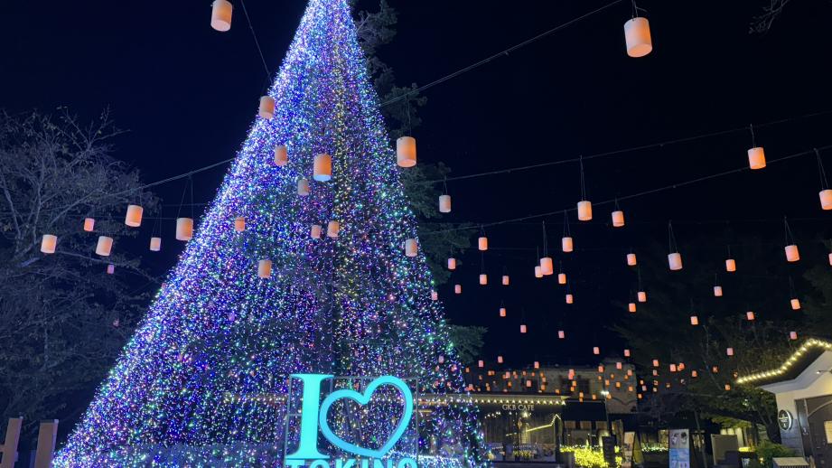 「ひかりのすみか」シンボルツリー