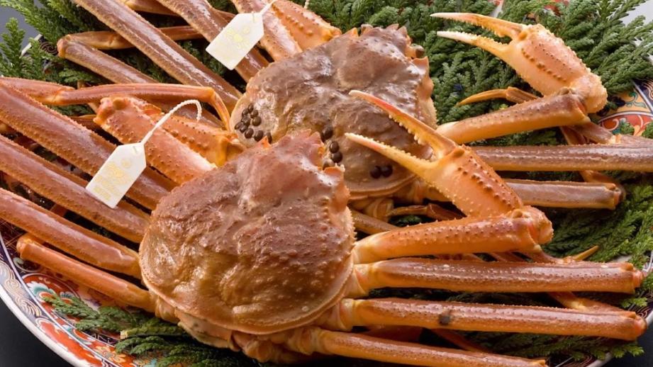 富山湾の冬の味覚を堪能【ぶりかにバス】富山駅から乗り換えなしで2大漁港へ