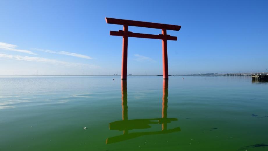 関東最強のパワースポット！東国三社を1日でめぐってみた
