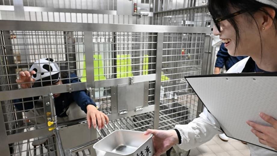 パンダの飼育スタッフになってみぃひん？ アドベンチャーワールドならではの新アトラクション誕生！