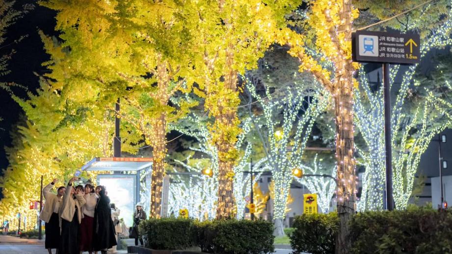 2025 年の冬は、光に包まれた和歌山市へ！ 街中が輝くライトアップや大規模ドローンショーが開催