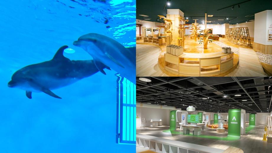 雨の日でも OK！親子で非日常の遊びが体験できる最新スポット