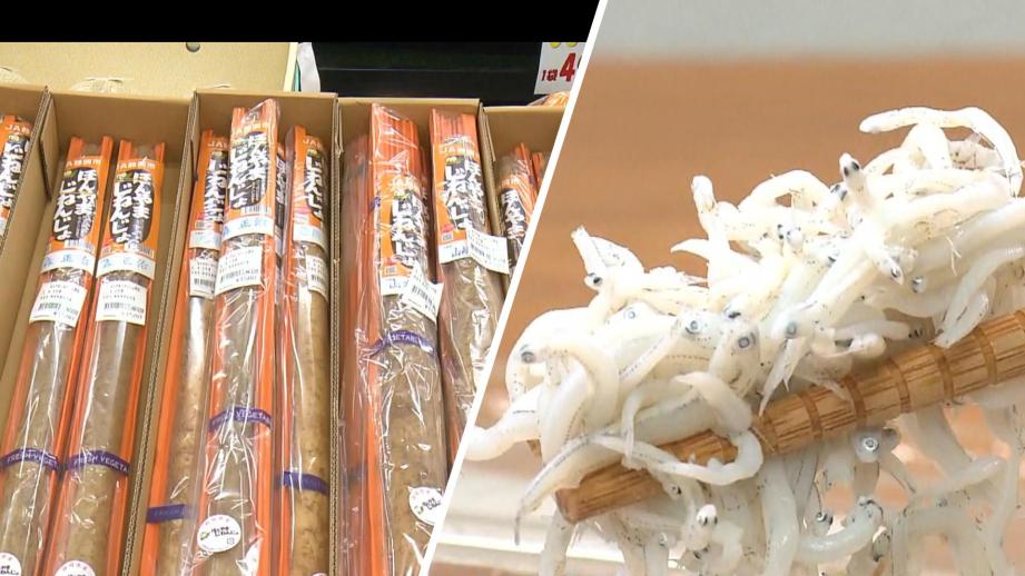 【静岡県静岡市・長田じまん市】“丸子のとろろ汁”で有名 「自然薯」が並ぶ直売所 新鮮なシラスも買える