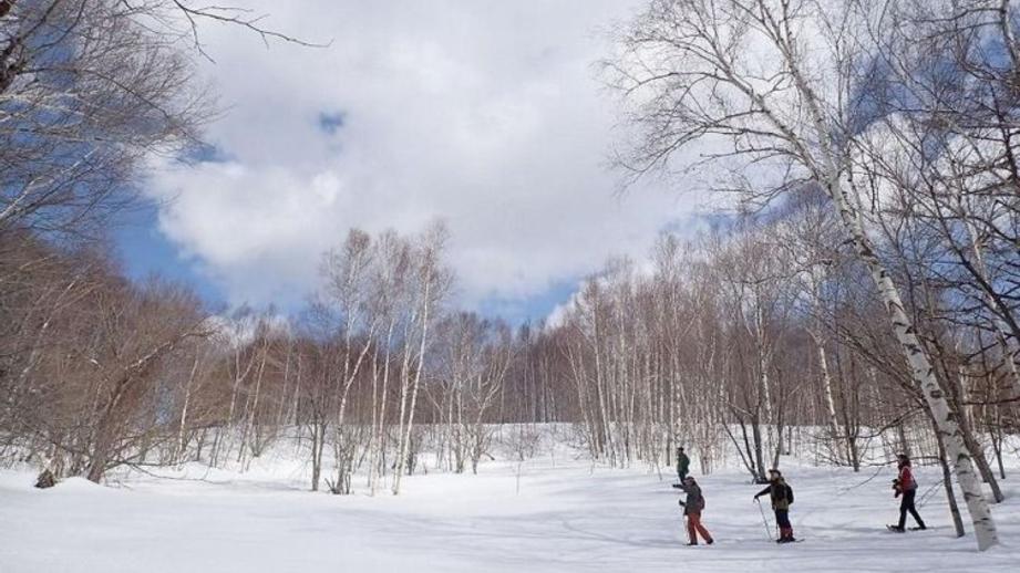 シマエナガに会えるかも！冬の森で大活躍するアイテムとは 森で働くスタッフが解説