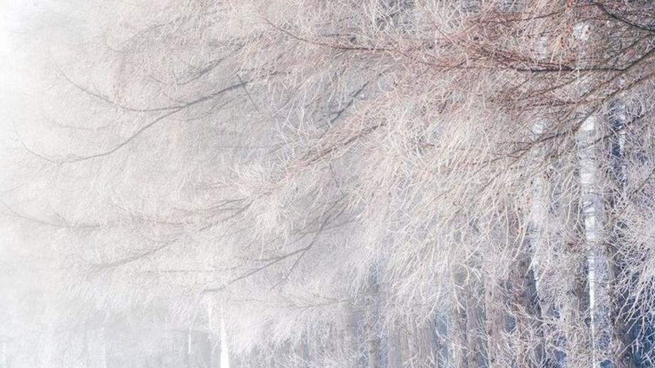 「見るもの全てを非日常の景色に」霧の魔法にかかった真っ白な十勝平野【北海道の絶景・写真 11 枚】