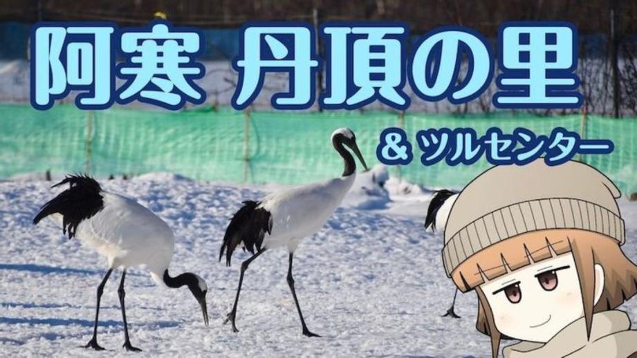 「思わず息をのむ美しさ」ワンコイン以下で特別天然記念物に会える！「阿寒丹頂の里」