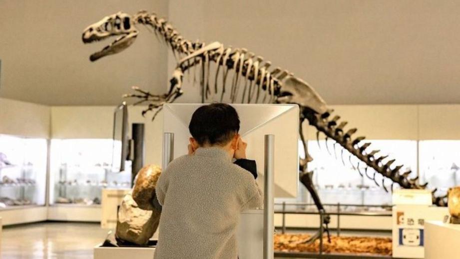 ティラノサウルスと並ぶ人気の新種が！子どもも夢中「大昔の海の底」へ行けちゃう冬の穴場スポットを獣医師ママライターが解説